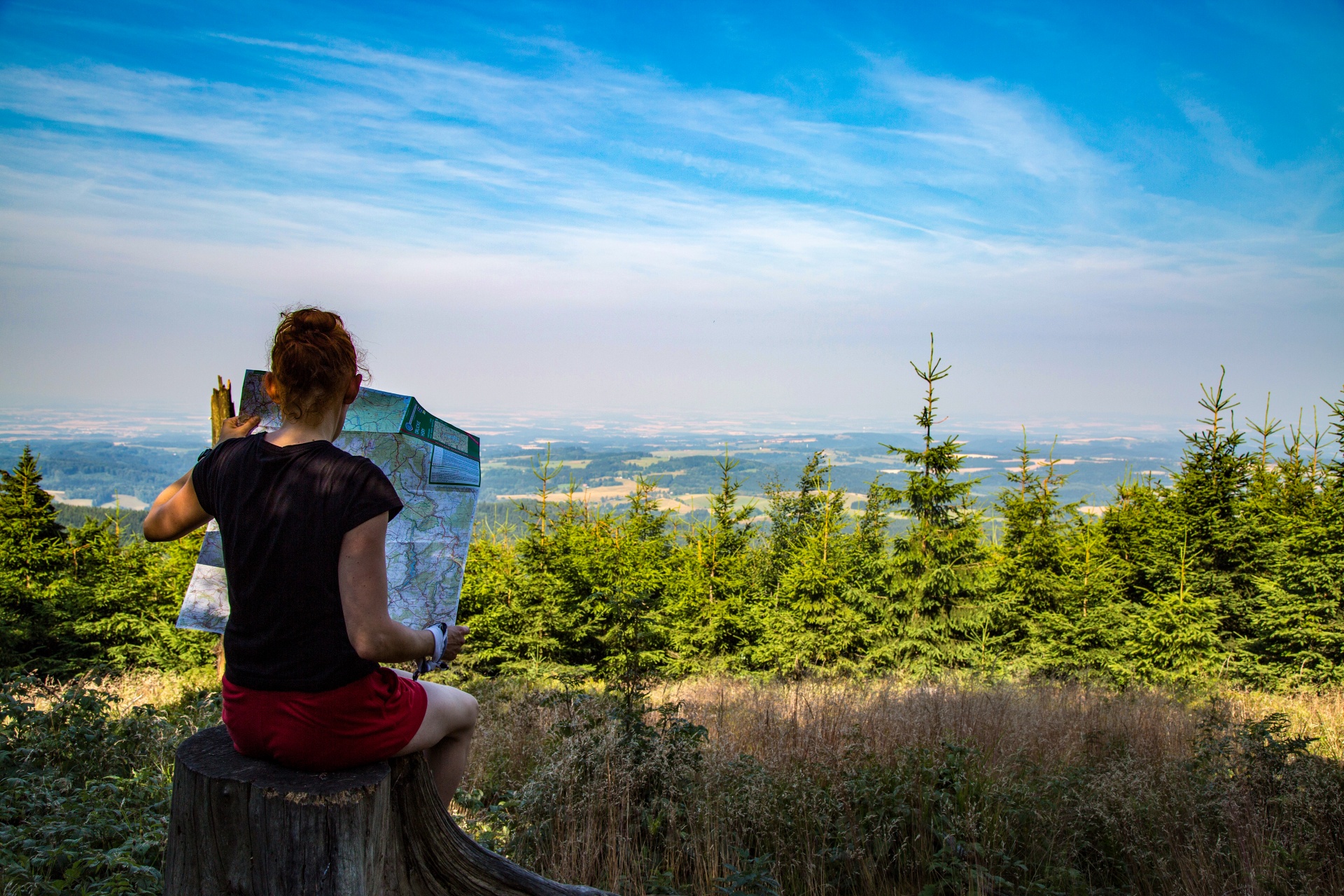 Person with a map sits on a tree stump overlooking a forest