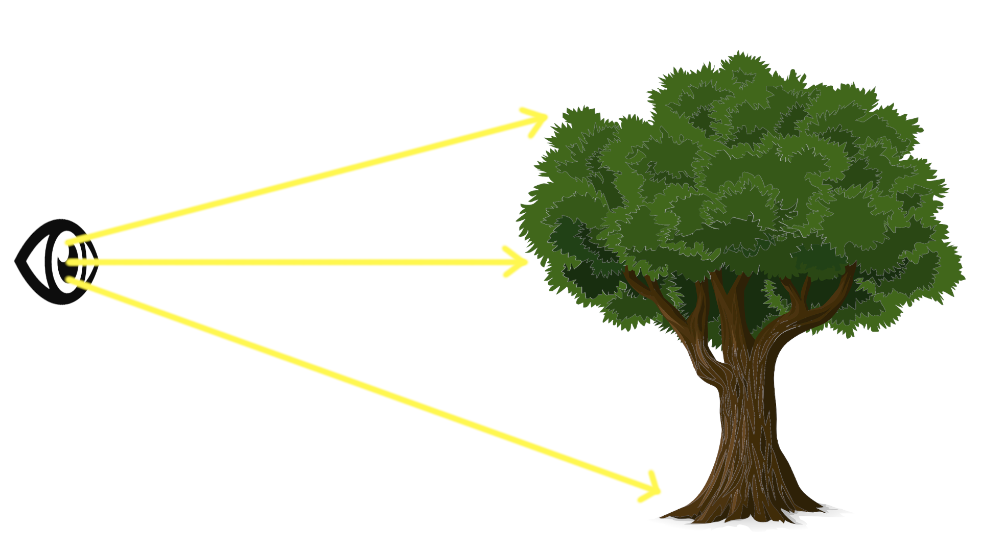 Three rays emerge from an eye and diverge to land on a tree